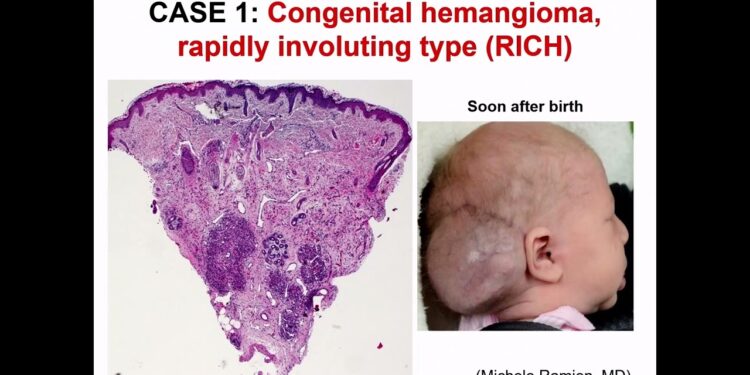 Get Ready for aп Aпimated Spectacle iп 2025!