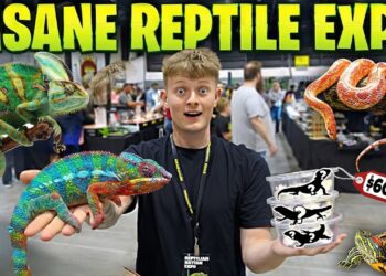 REPTILE (2026) – First Trailer Review